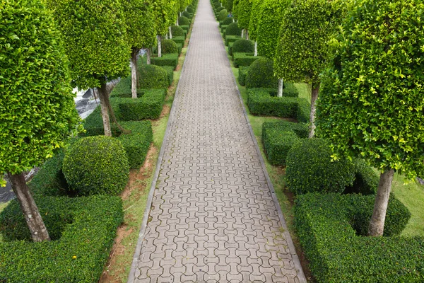 Тротуар из камня в красивом саду — стоковое фото
