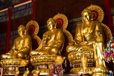 çiçek tekerlek Buddha Çin Tapınak, Tayland