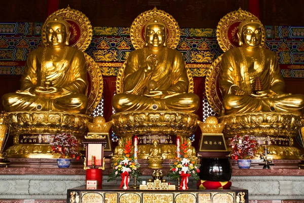 Květina kolo Buddhy v čínský chrám, Thajsko — Stock fotografie
