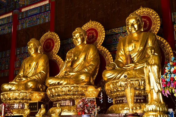 Rueda de flores de Buda en templo chino, Tailandia —  Fotos de Stock