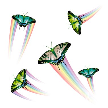 Butterfly collection clipart