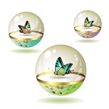 Butterfly collection clipart