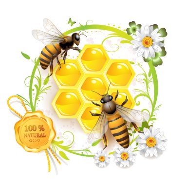 Two bees and honeycombs clipart