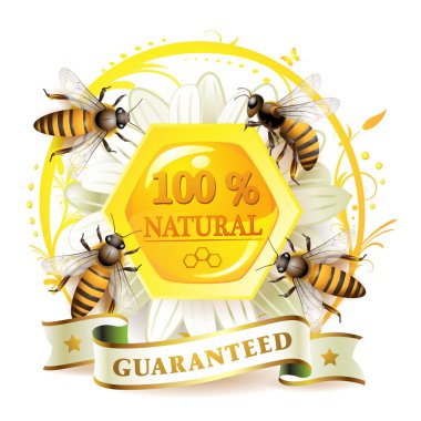 Bees and honeycombs clipart