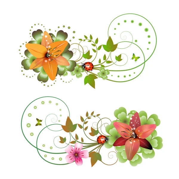 Flowers arrangement — Stock Vector