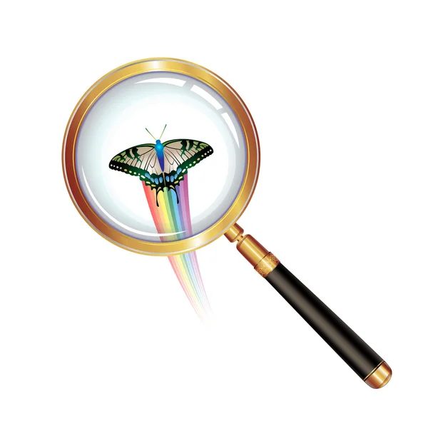 Zvětšovací sklo a motýl — Stockový vektor