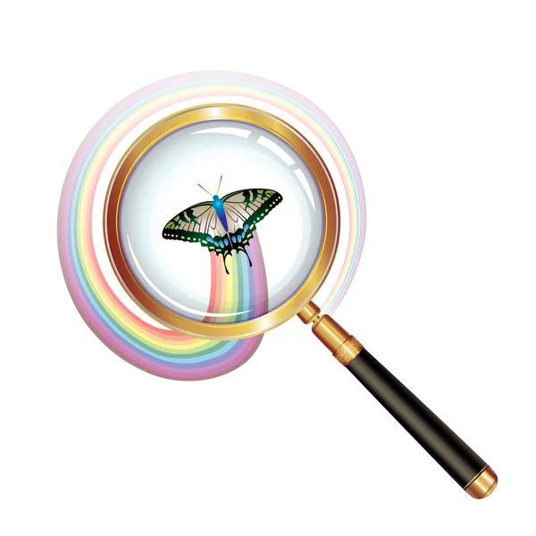 Magnifying glass and butterfly — Stock Vector