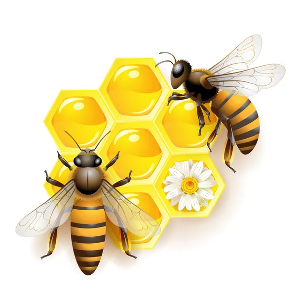 Pszczoły z kwiatami — Wektor stockowy
