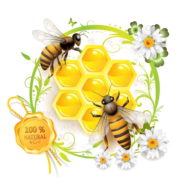 Dwie pszczoły i plastrów — Wektor stockowy