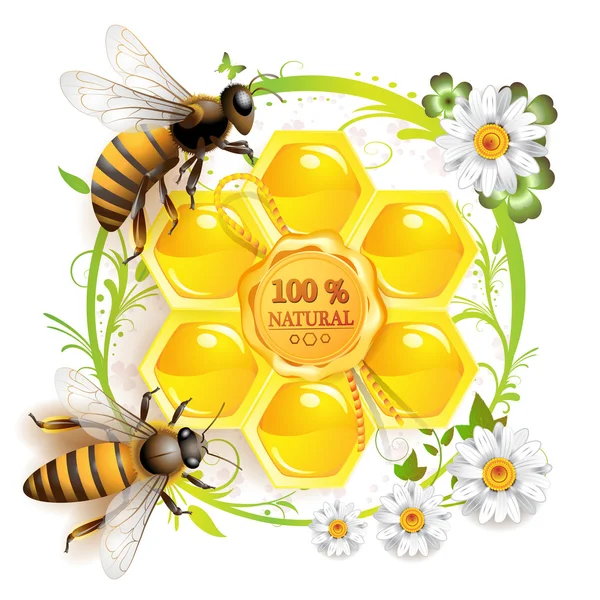 Twee bijen en honingraten — Stockvector