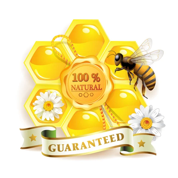 Bee met honingraat — Stockvector