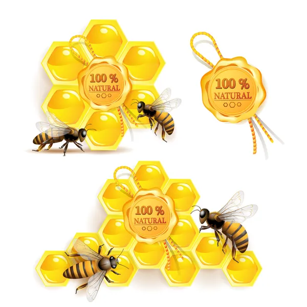 Abelhas com favos de mel — Vetor de Stock