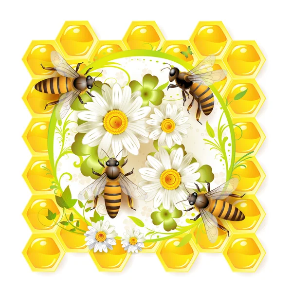 蜜蜂与花 — 图库矢量图片