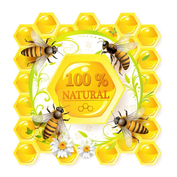 Abeilles et nids d'abeilles — Image vectorielle