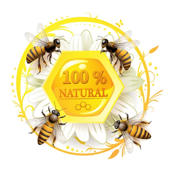 Pszczoły i plastrów — Wektor stockowy