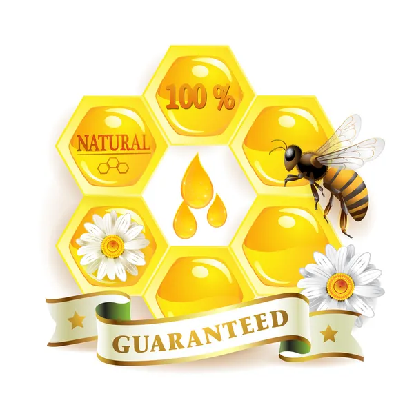 Peteğin ve arılar — Stok Vektör