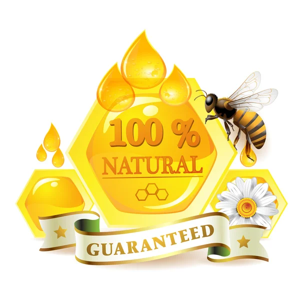 Peteğin ve arılar — Stok Vektör