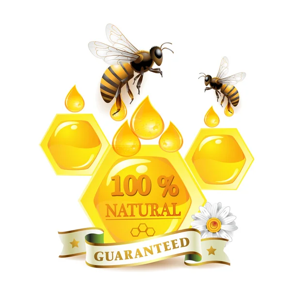 Honingraten en bijen — Stockvector
