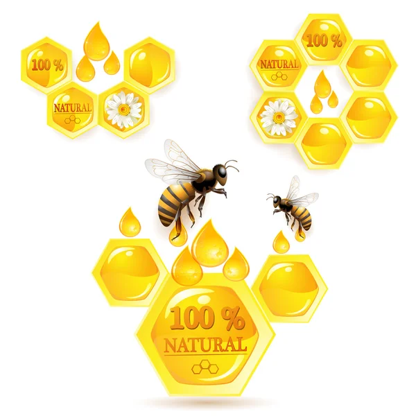 Pentes de mel e abelhas — Vetor de Stock