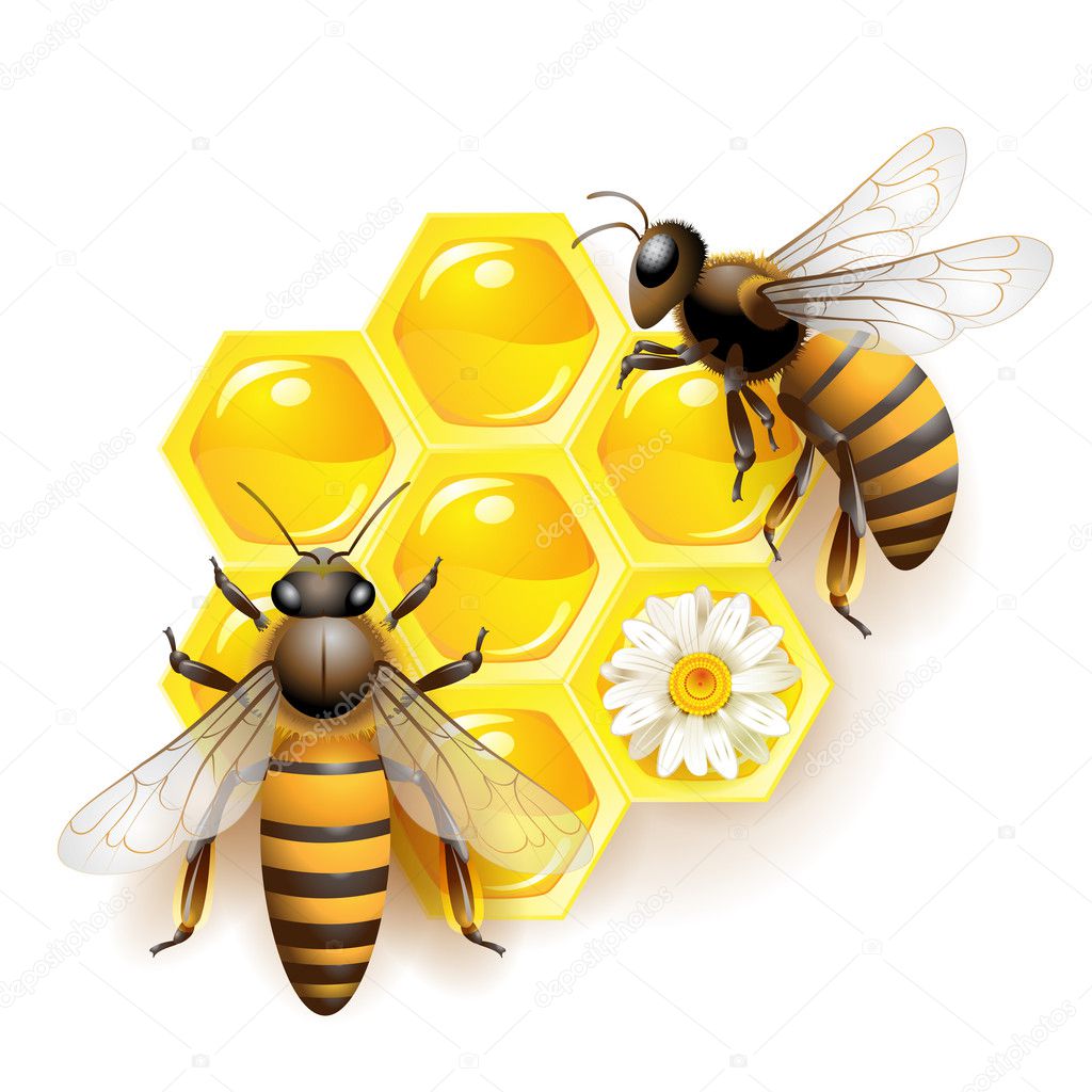 Bees with flowers