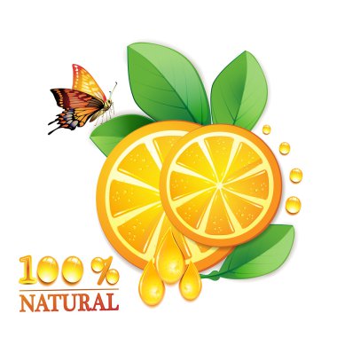 Slices orange clipart