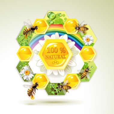 Bees and honeycombs clipart