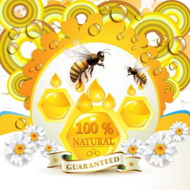 Bees and honeycombs clipart