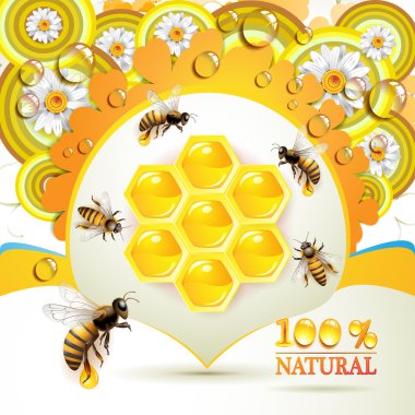 Bees and honeycombs clipart