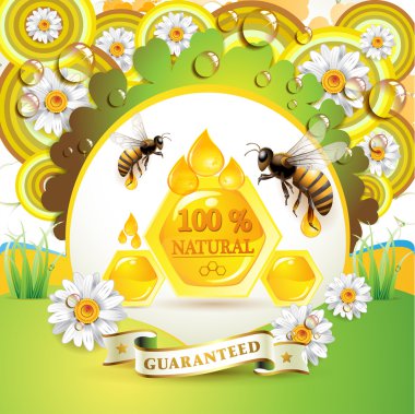 Bees and honeycombs clipart