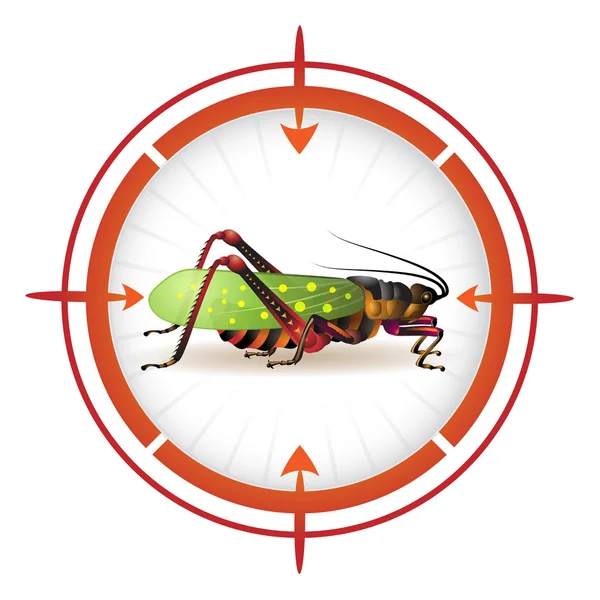 Target with grasshopper — Stock Vector