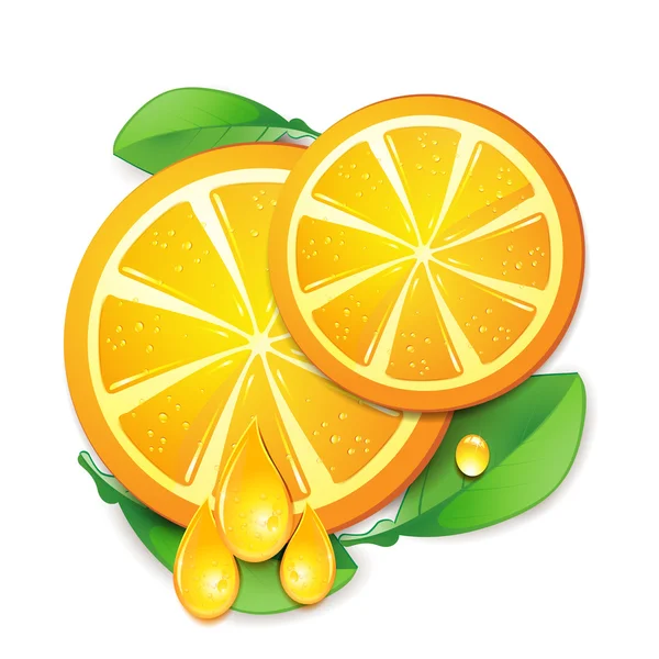 Fatias laranja — Vetor de Stock