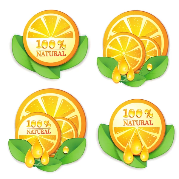 Fatias de laranja com folha — Vetor de Stock