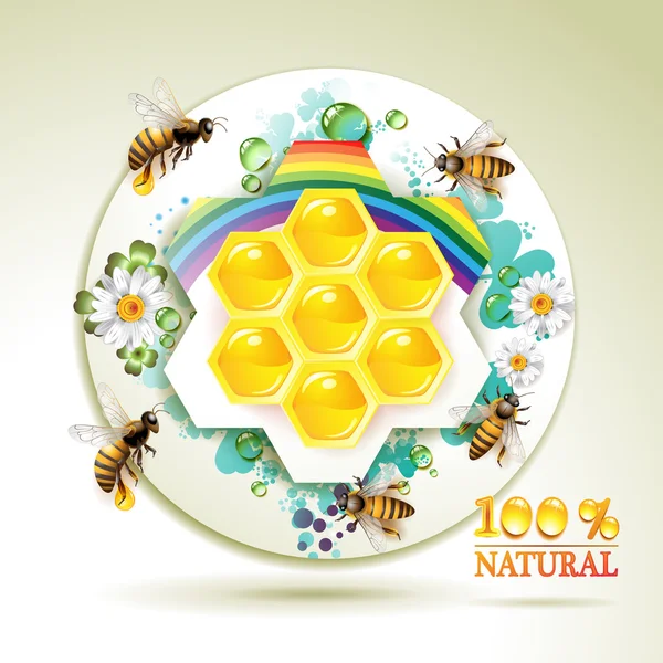 Pszczoły i plastrów — Wektor stockowy