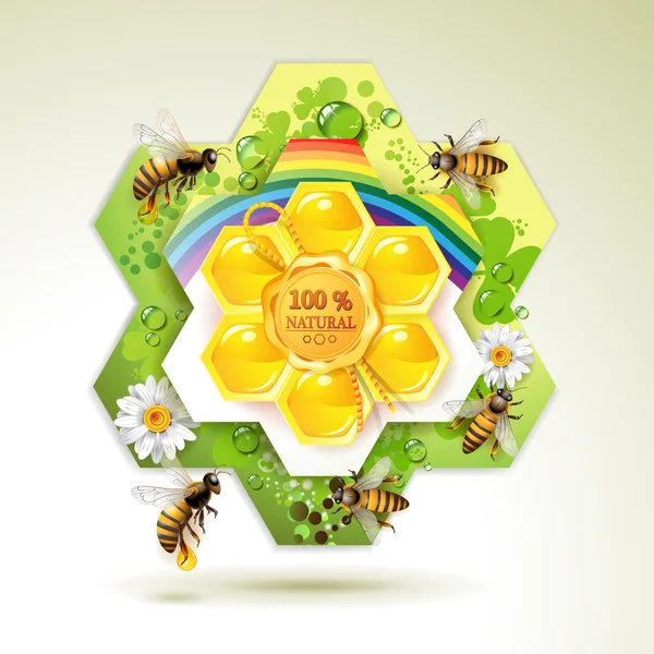 Пчелы и соты — стоковый вектор