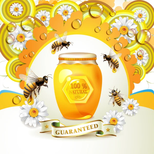Bijen en honingraten — Stockvector