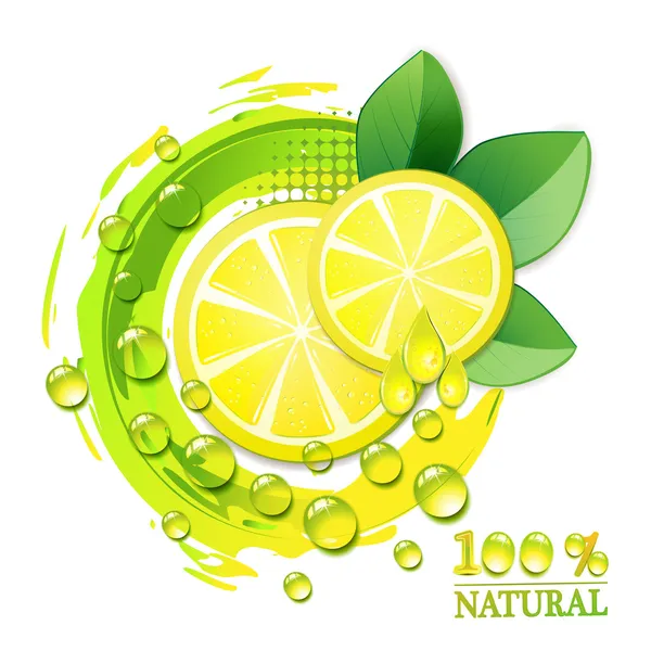 Segmenten gele citroen — Stockvector