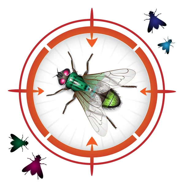 Objetivo con mosca doméstica — Vector de stock