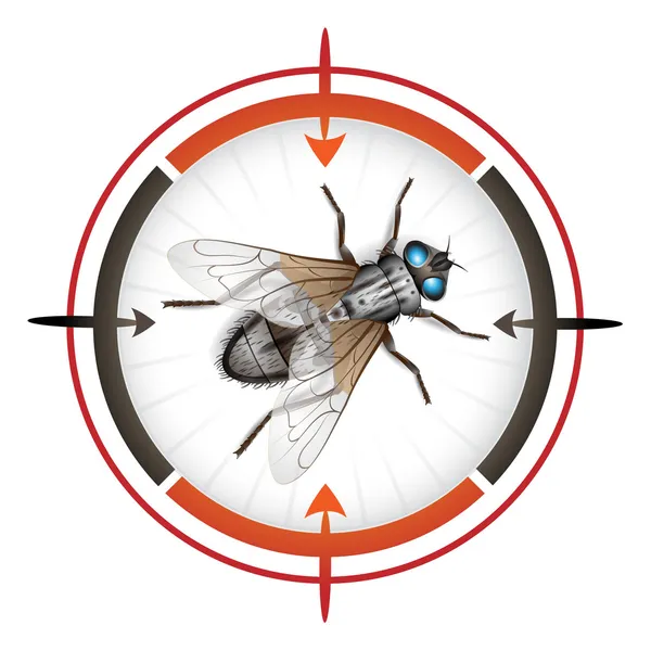 Obiettivo con mosca domestica — Vettoriale Stock