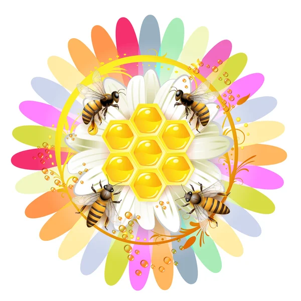 蜂とハニカム構造 — ストックベクタ