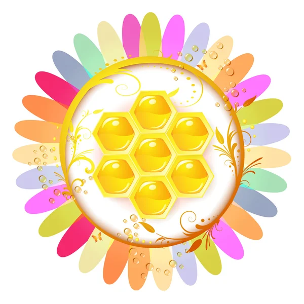 Favos de mel sobre fundo floral colorido — Vetor de Stock