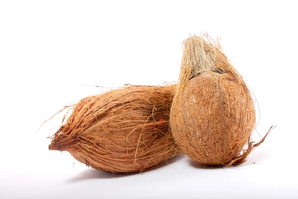 stock image Coconut