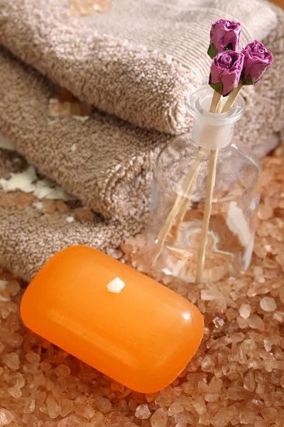 Accesorios de higiene y spa — Foto de Stock