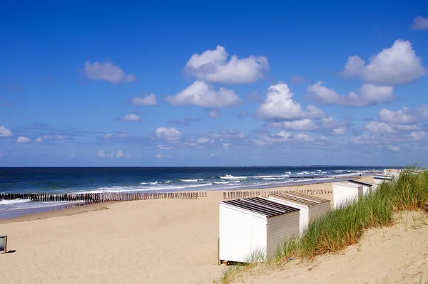 Gyönyörű strand egy szeles napon — Stock Fotó