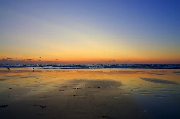 Lanskap laut matahari terbenam dengan warna biru dan emas — Stok Foto