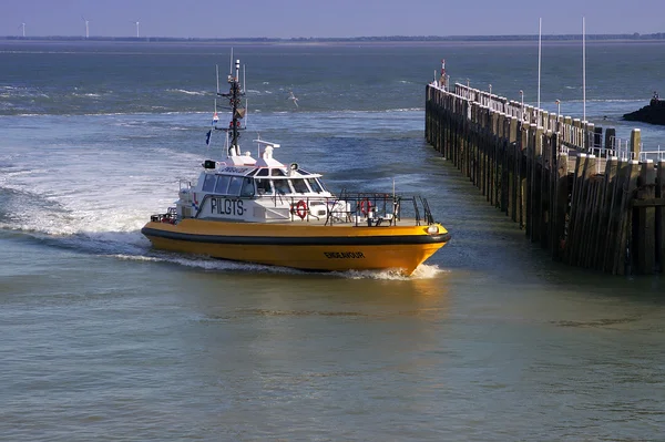 Stock image Sea Pilots at the Scheldt