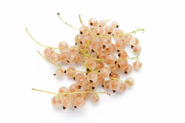 stock image Currant berries