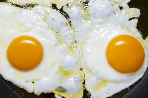 stock image Fried eggs