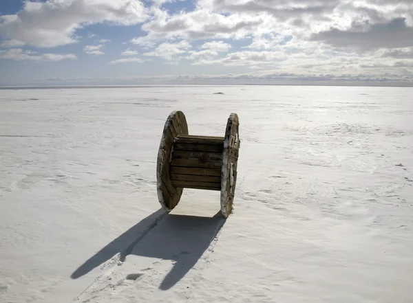 Bobine sur le lac gelé — Photo