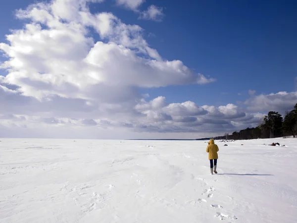 Riva del lago congelata — Foto Stock