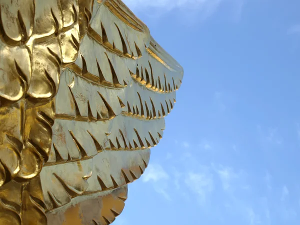 Χρυσό φτερό — 图库照片